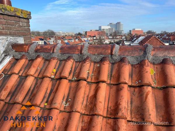 Pannendak met nokvorst en schoorsteen, dakrenovatie in Huissen