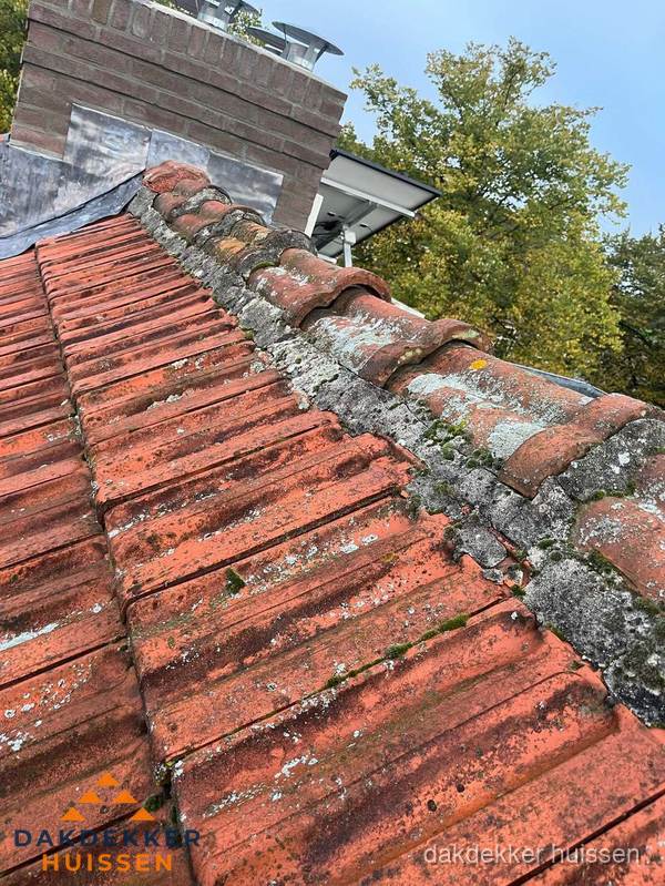 Verweerd hellend dak met mosgroei op nokvorst in Huissen